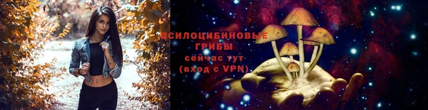 мяу мяу мука Алзамай