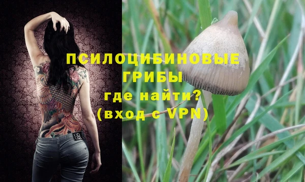 COCAINE Абаза