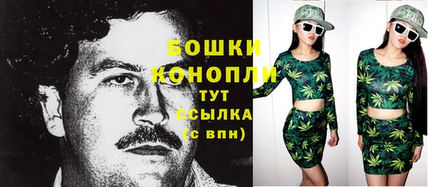 прущие грибы Наволоки