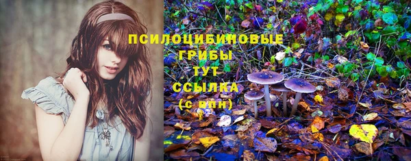 герыч Алексин