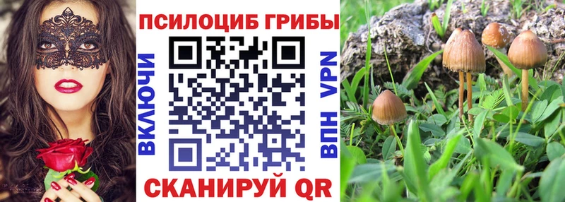 Псилоцибиновые грибы Cubensis  darknet как зайти  Троицк  купить  