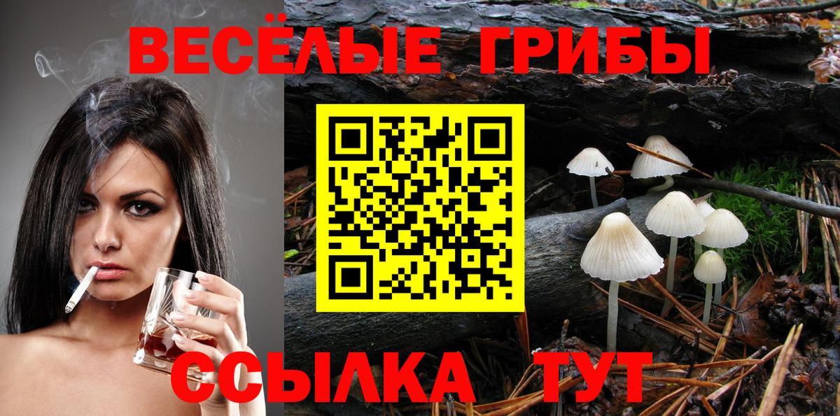 цена   Псилоцибиновые грибы Psilocybe  Вход с VPN  Троицк 