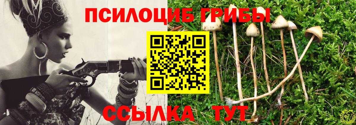 Псилоцибиновые грибы GOLDEN TEACHER Троицк