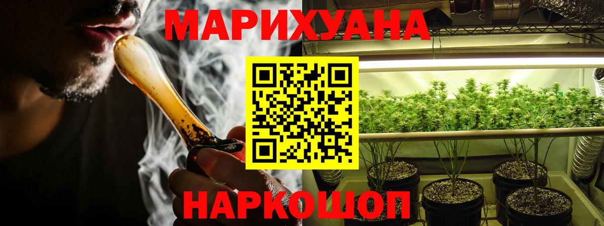 Каннабис план Троицк